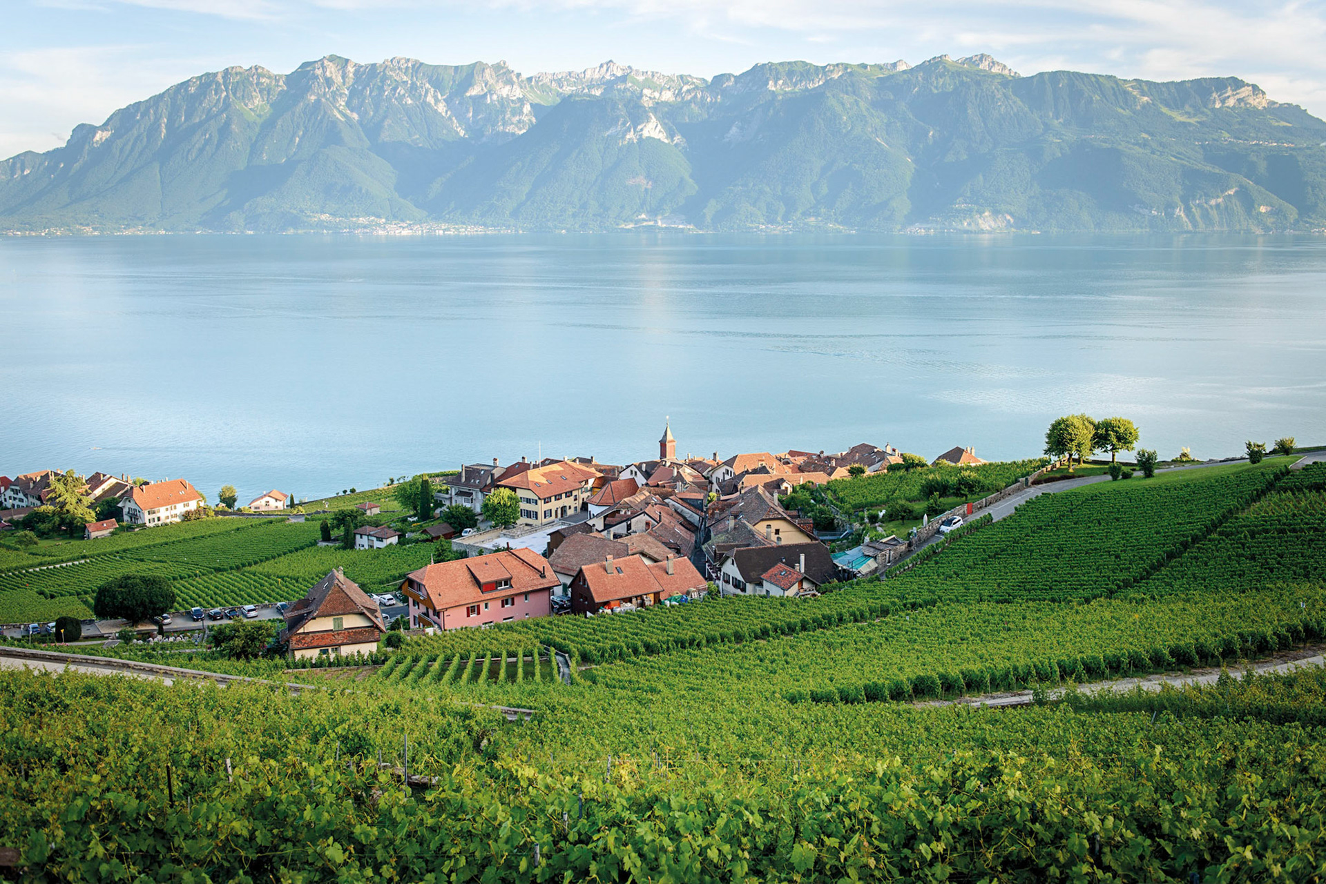 Promenade sur les hauts de Rivaz