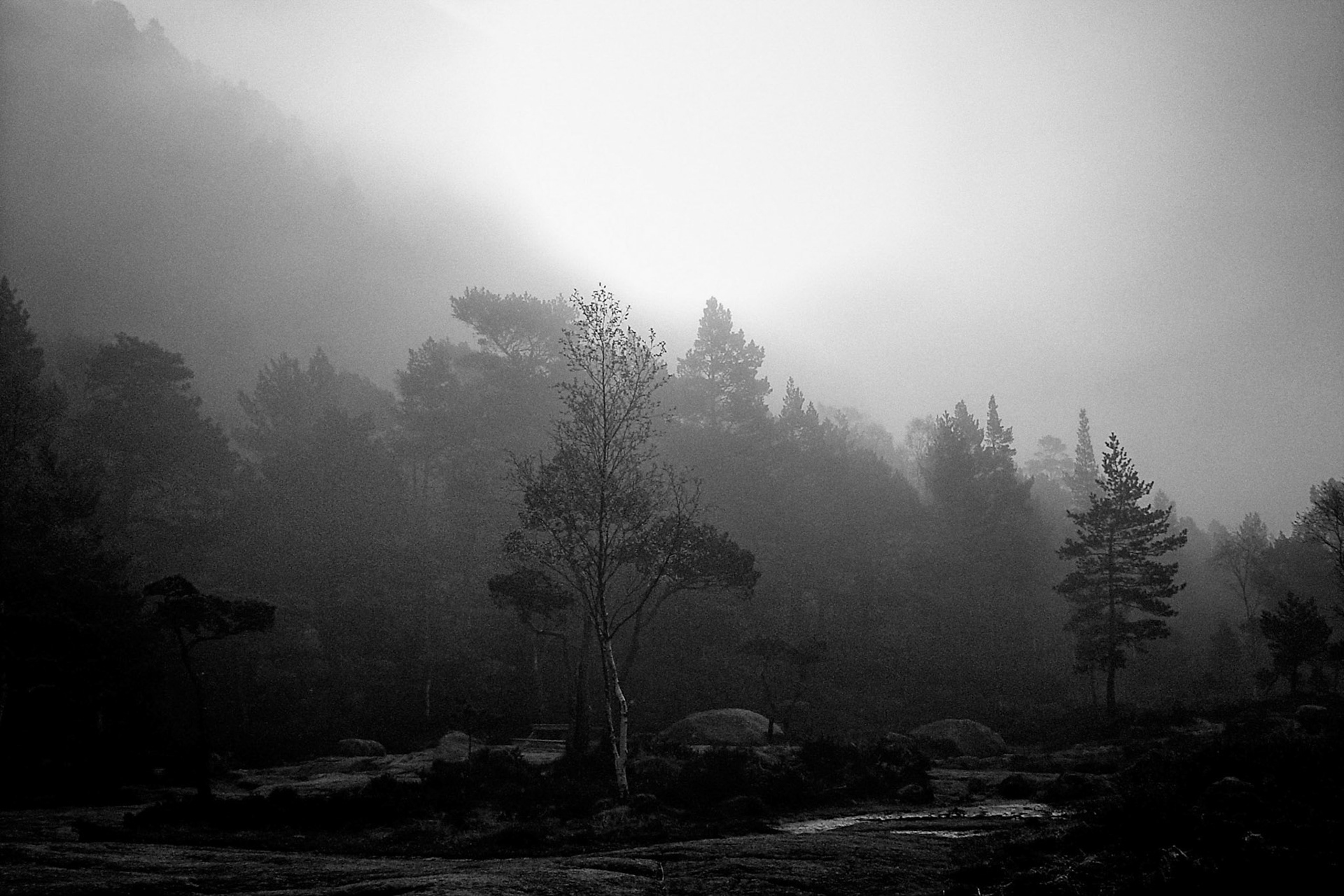 Brume en Norvège