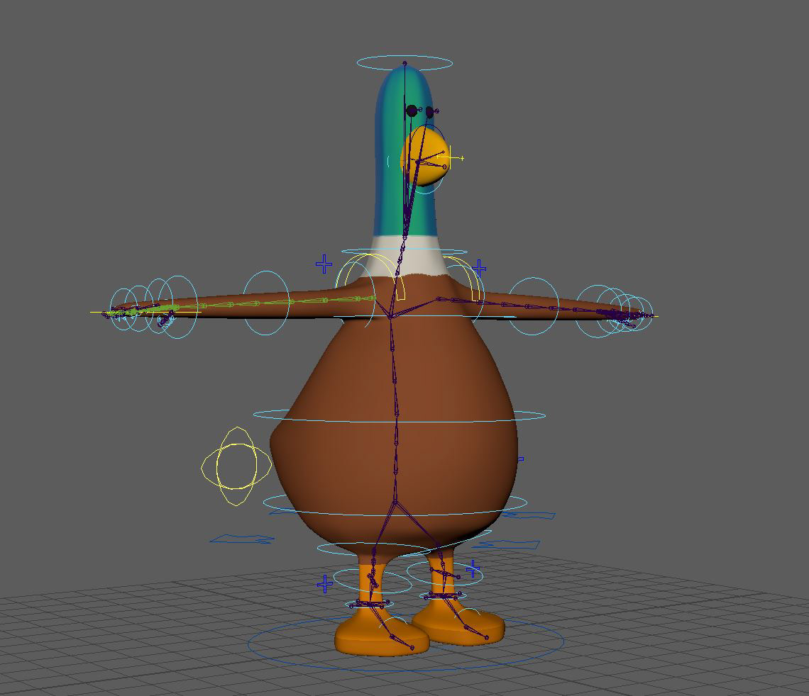 Finished Duck Model and Rig