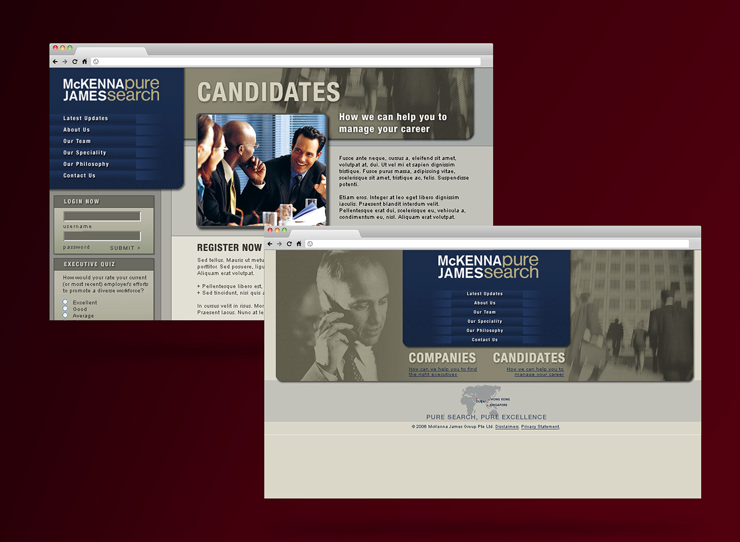 Website pitch