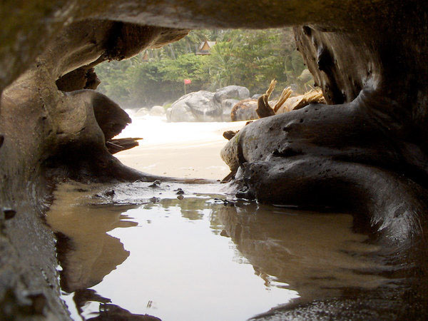 view from the inside