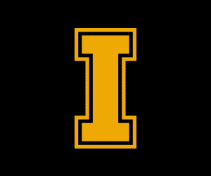 Learn More Undergraduate Digital Gif Ad