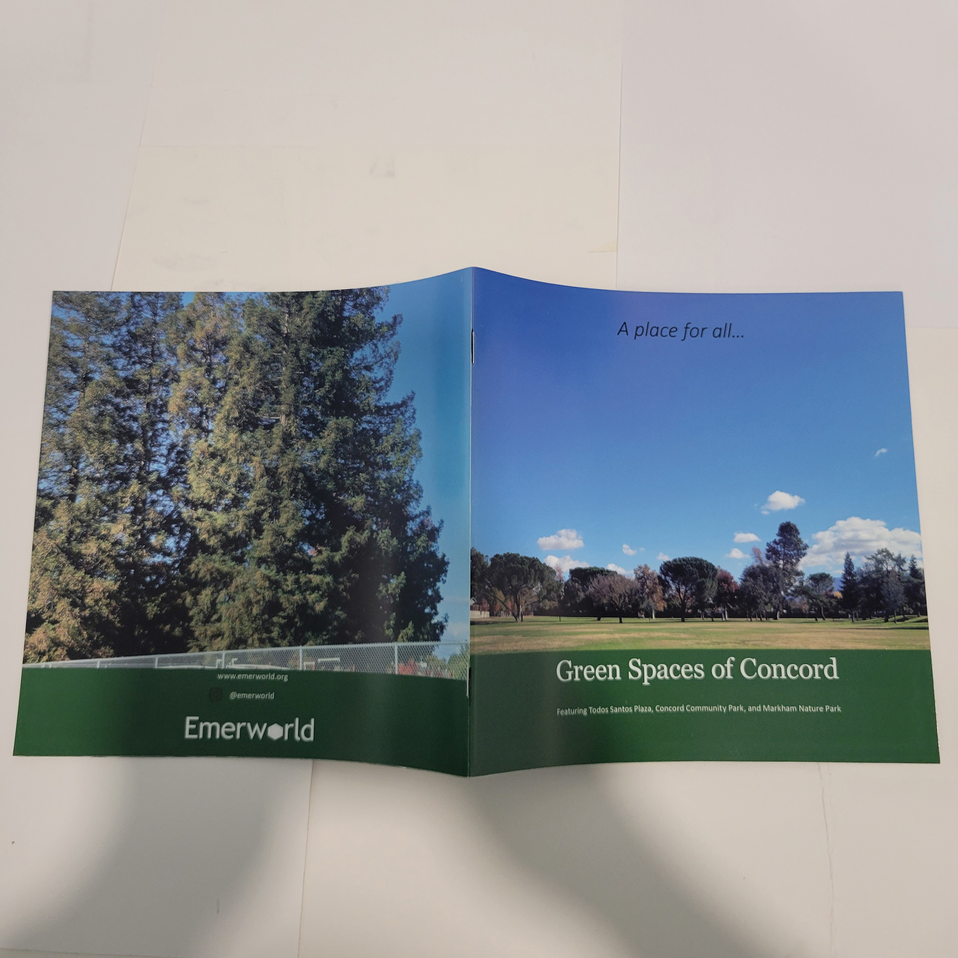 Front and back covers of the booklet.