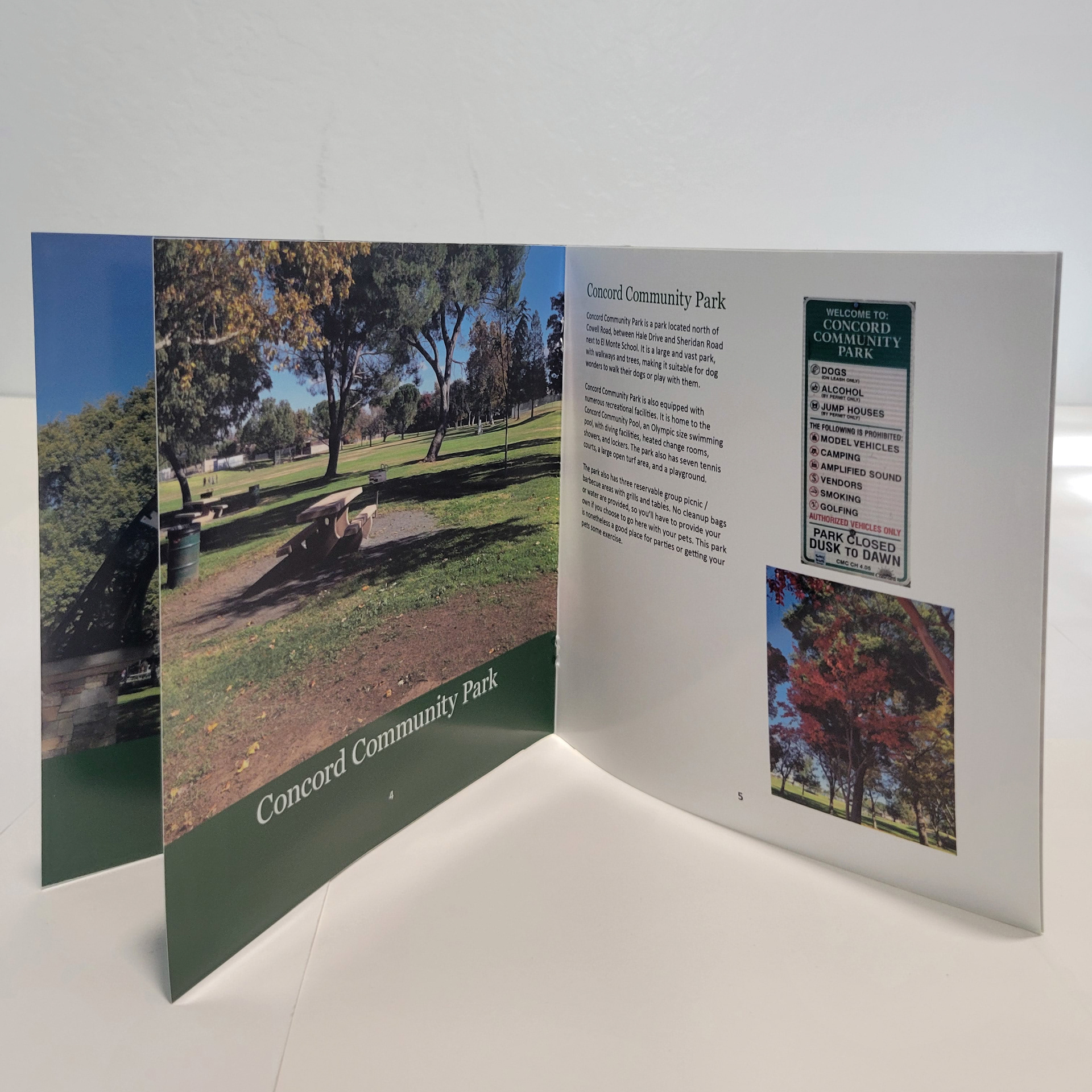 An internal shot of the booklet.