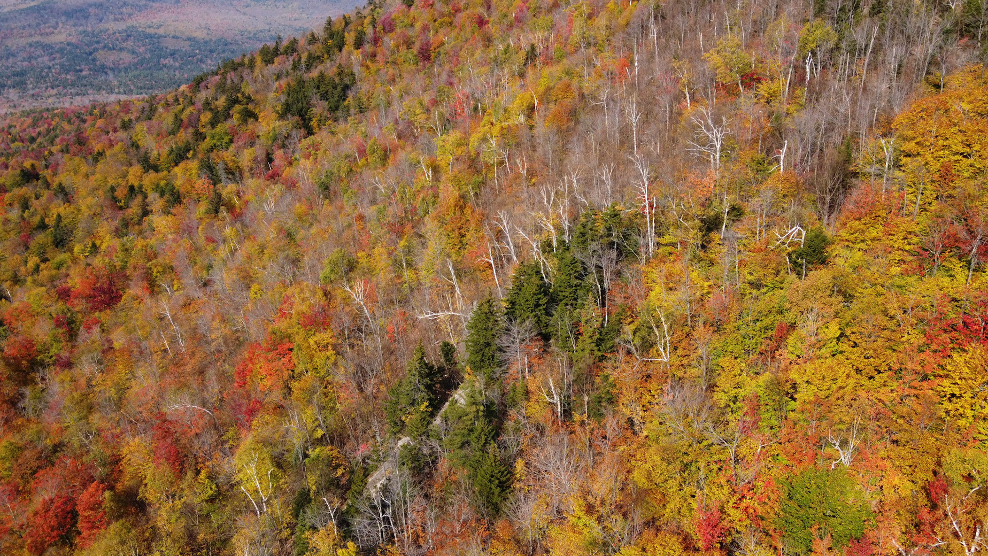 DCIM\100MEDIA\DJI_0575.JPG