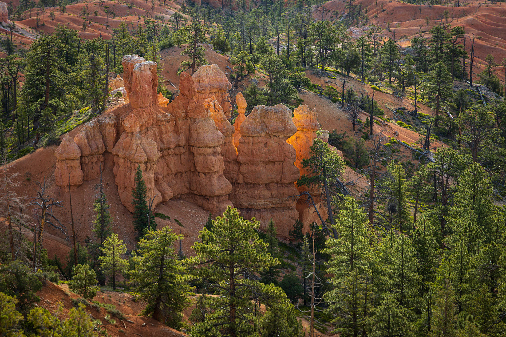 Natures Treasure
