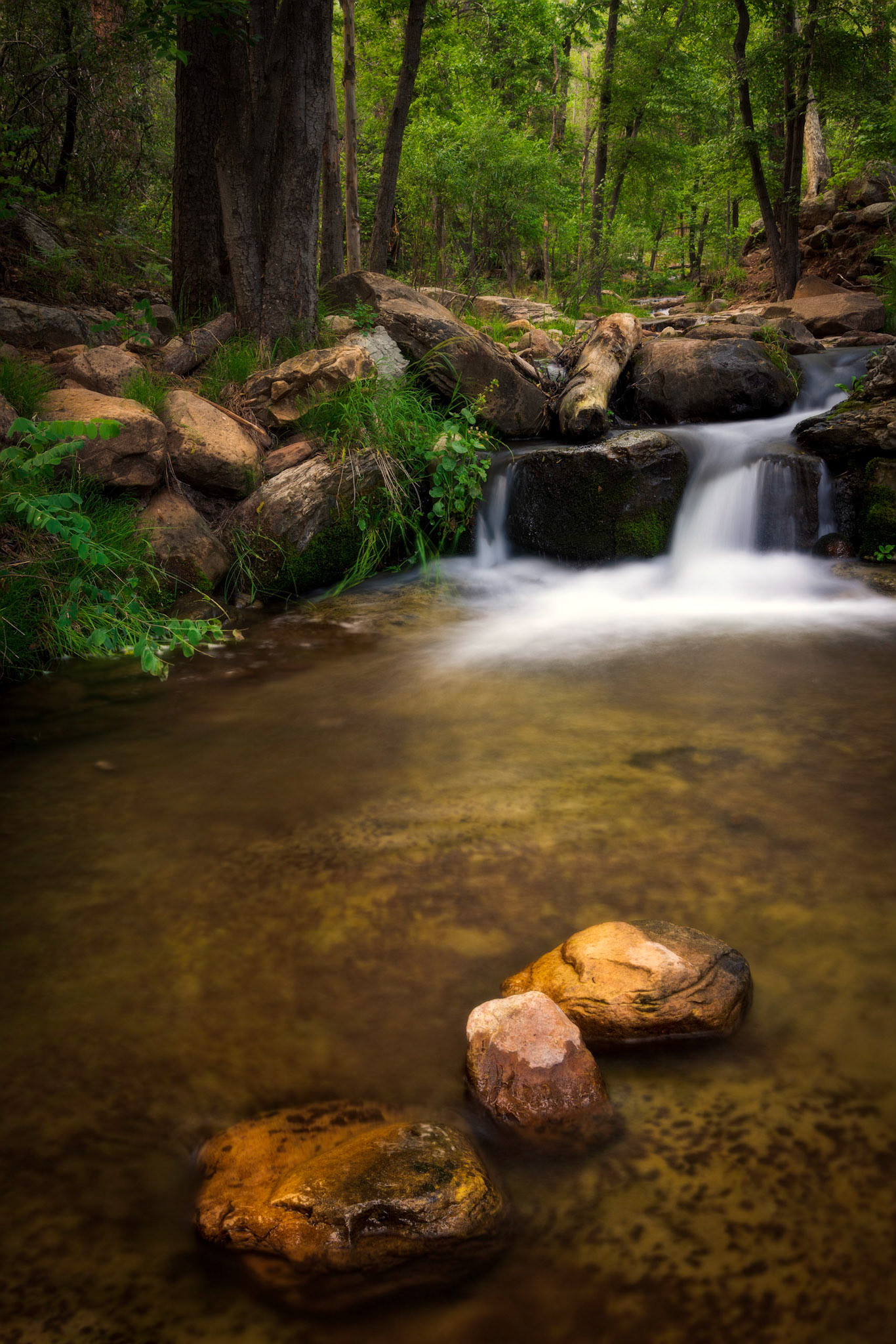 Streams in the Desert