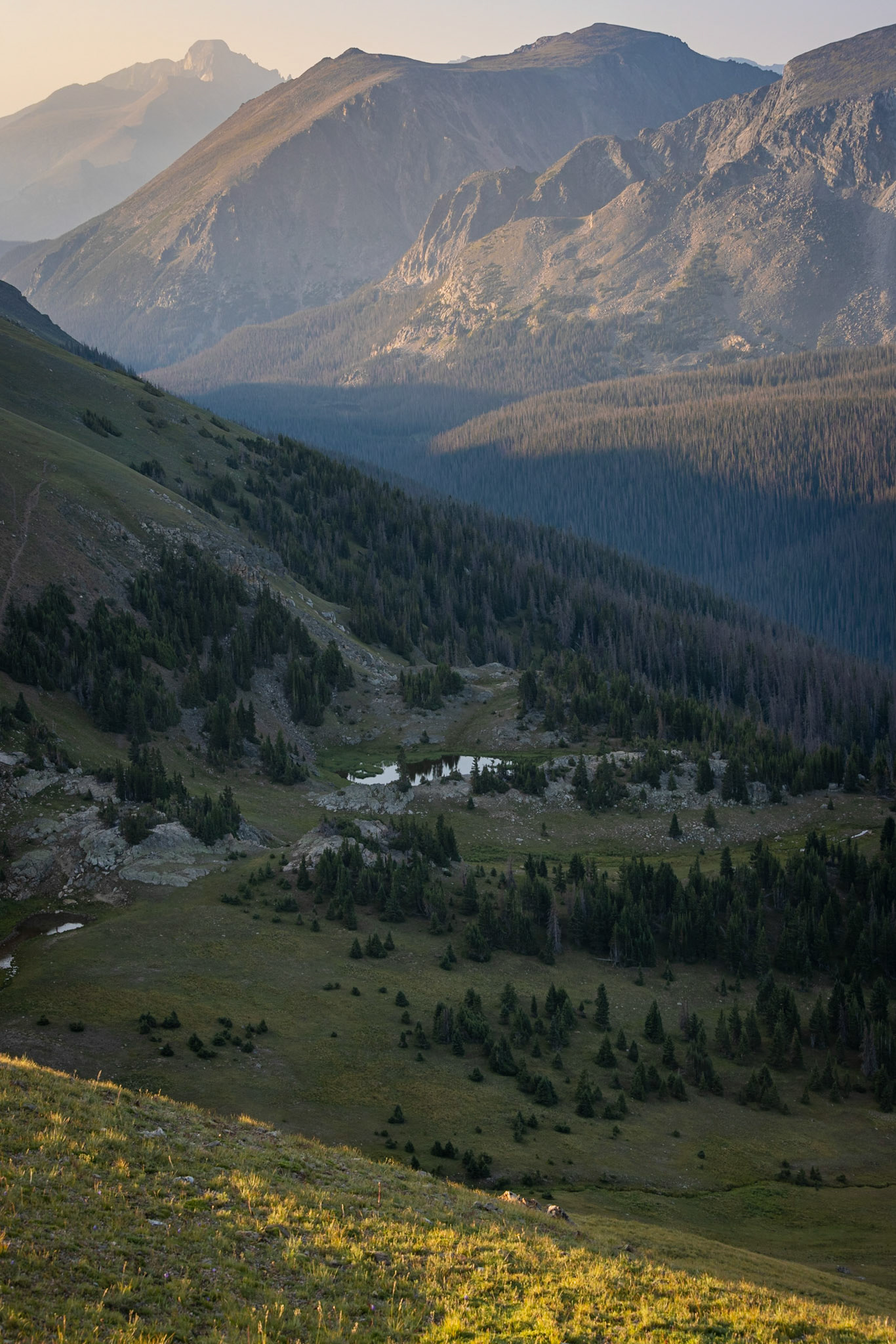 Rockies