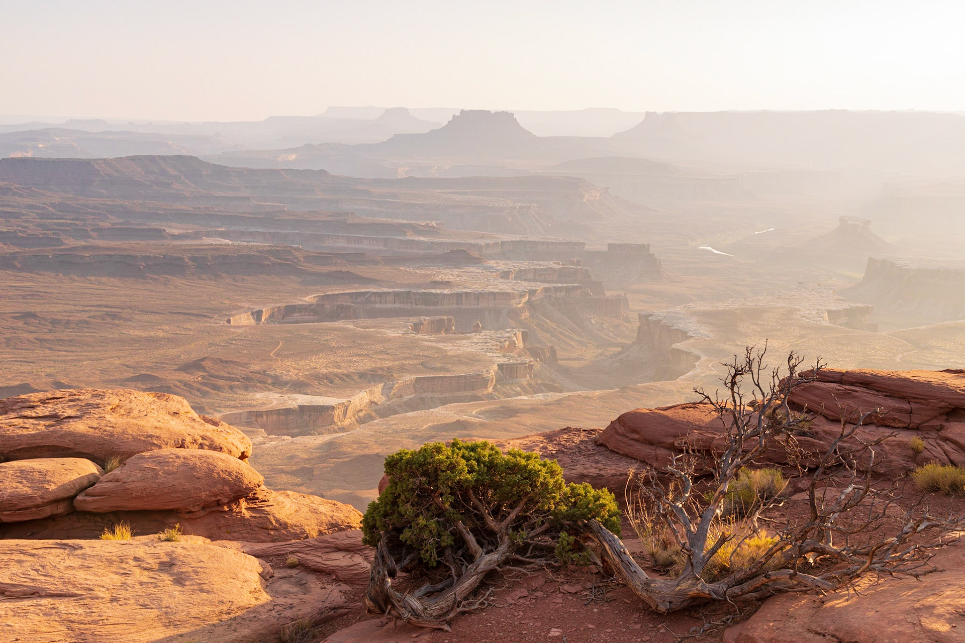 Red Cliffs