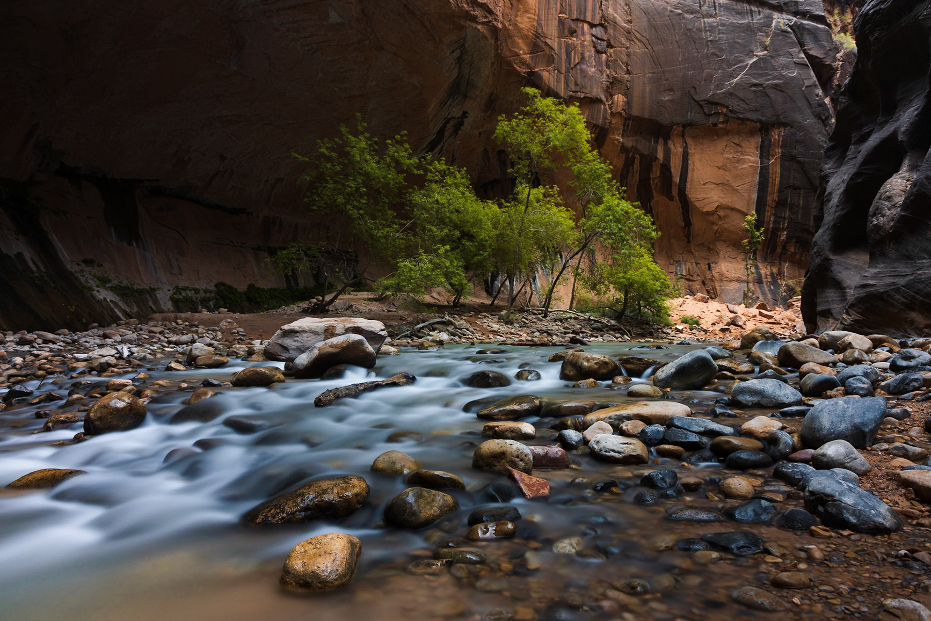 Desert Oasis