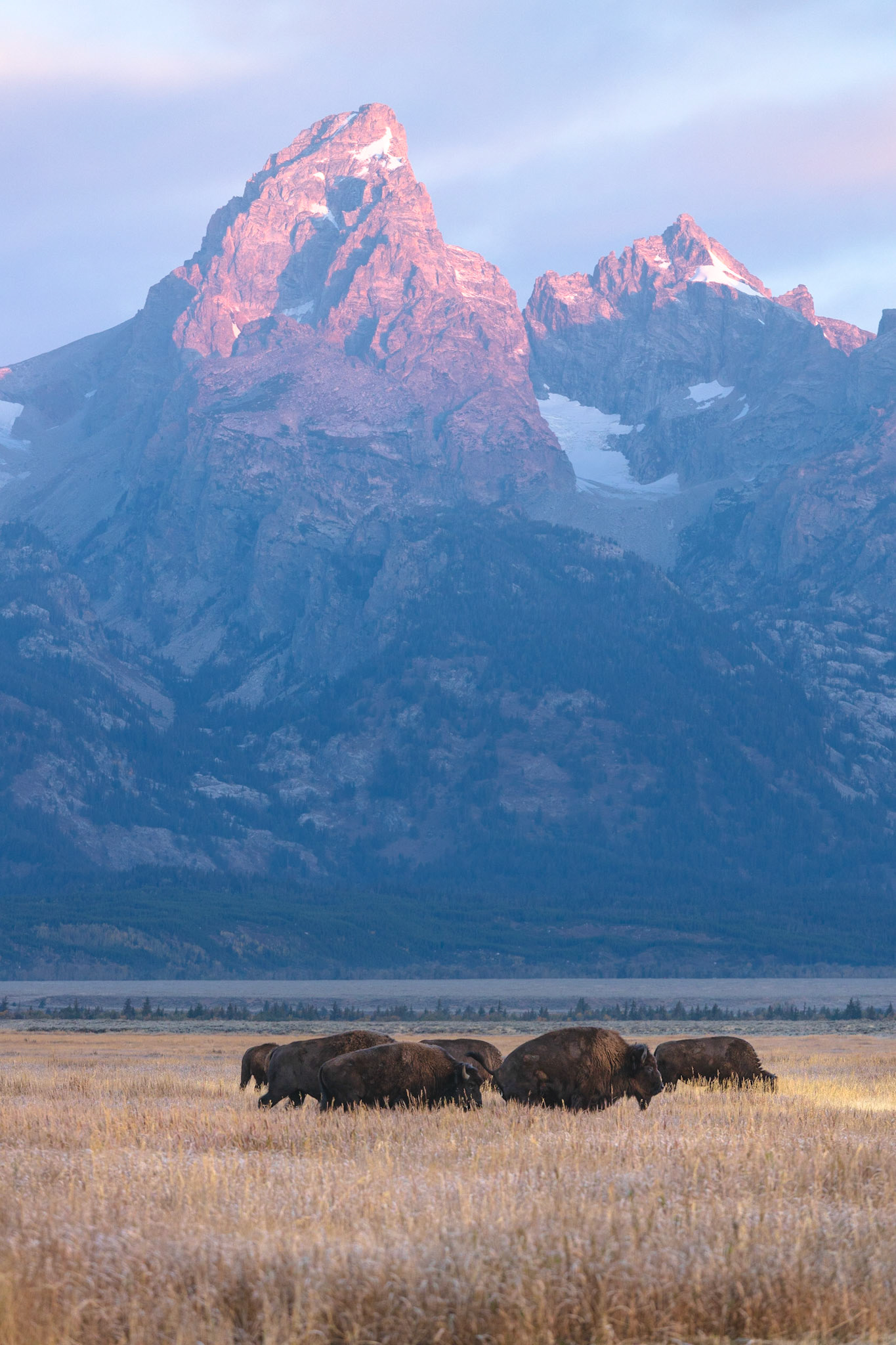 Nomads