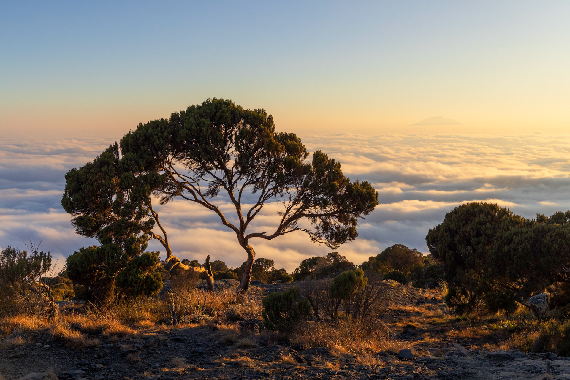Sky Islands