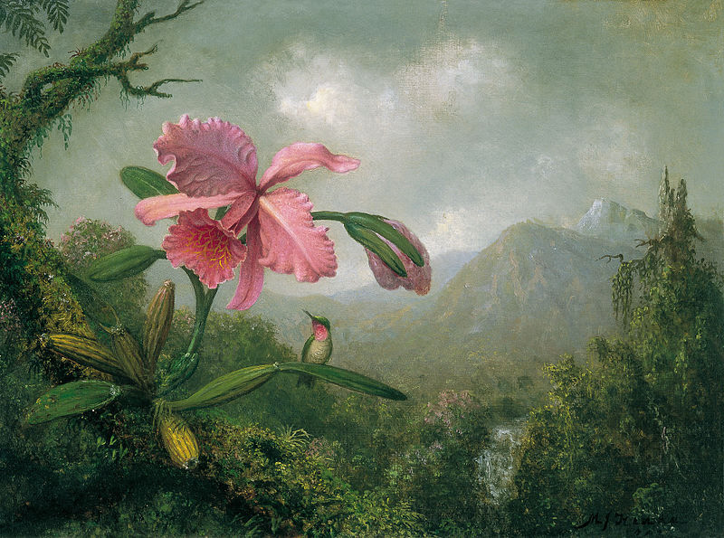 Martin Heade, Orchid and Hummingbird near a Mountain Waterfall, 1902.