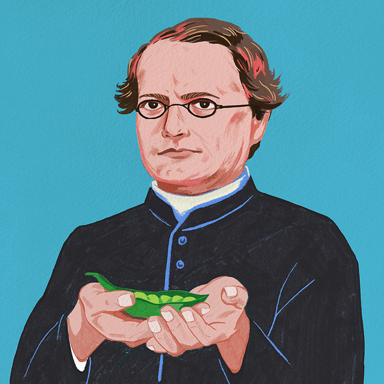 그레고어 멘델 Gregor Johann Mendel (과학동아 2022년 12월호: 과학사 극장)