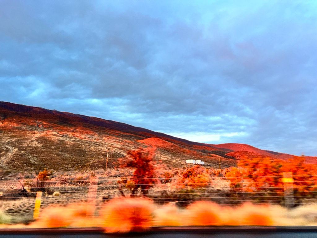 Mauna Kea Forest Reserve