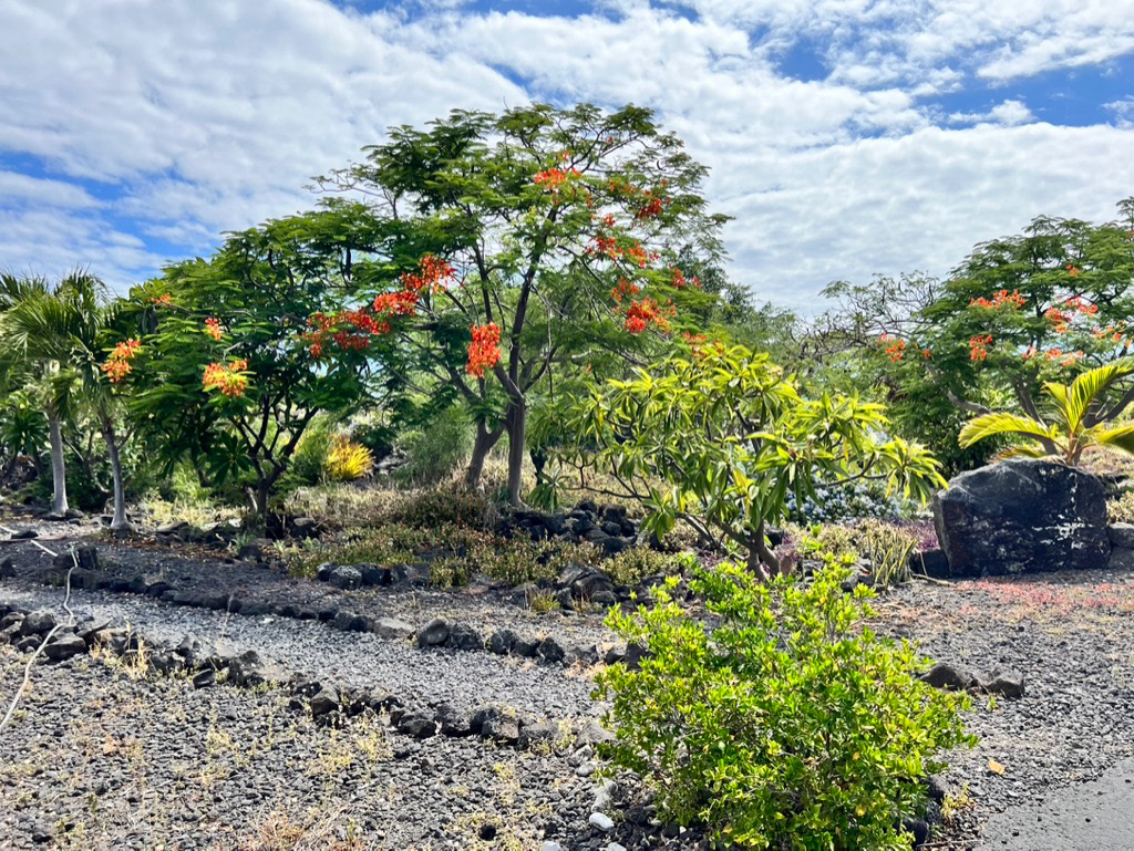 Old Kona Airport State Recreation Area