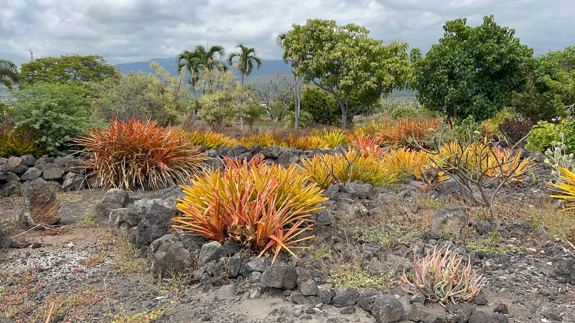 Old Kona Airport State Recreation Area
