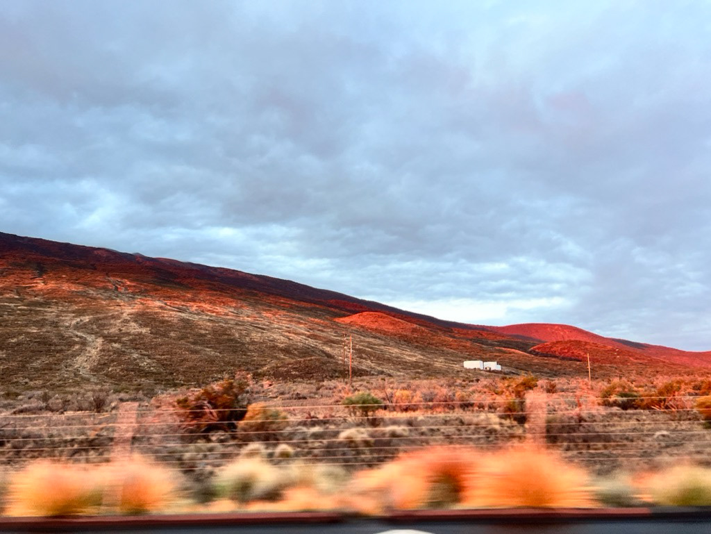 Mauna Kea Forest Reserve