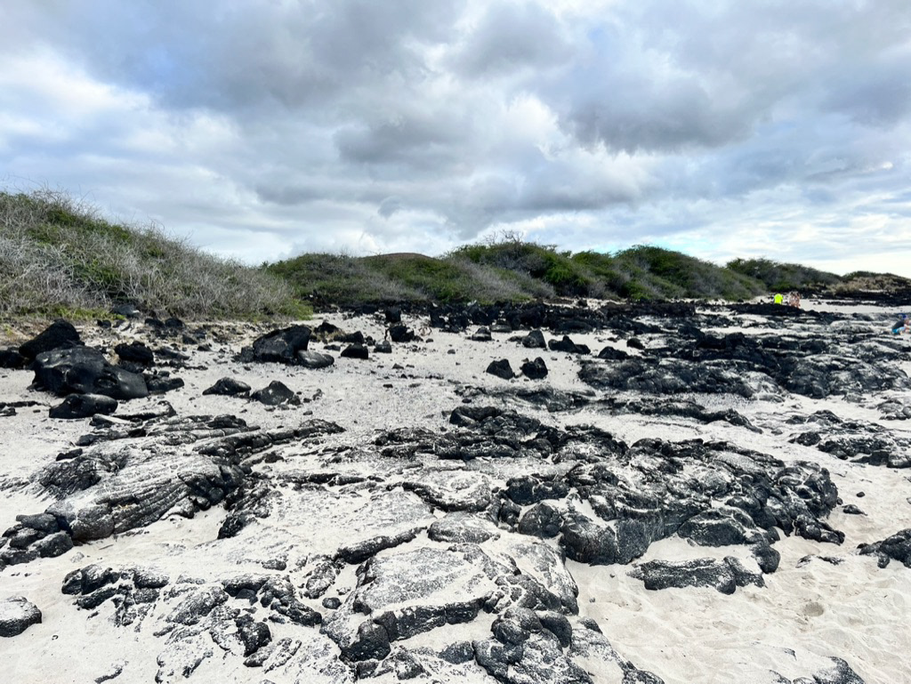 Manini'owali Beach (Kua Bay)