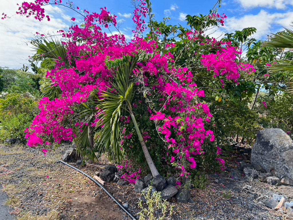 Old Kona Airport State Recreation Area