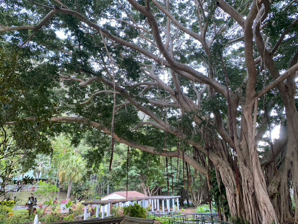 Kepaniwai Park