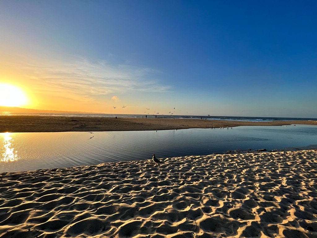 Monterey State Beach