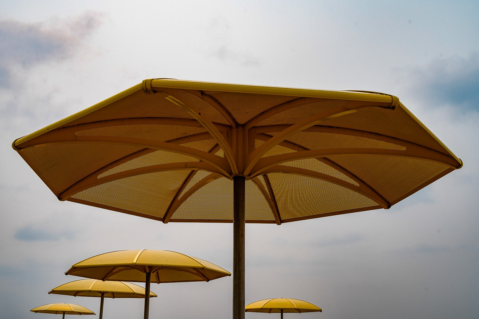 Beach umbrellas