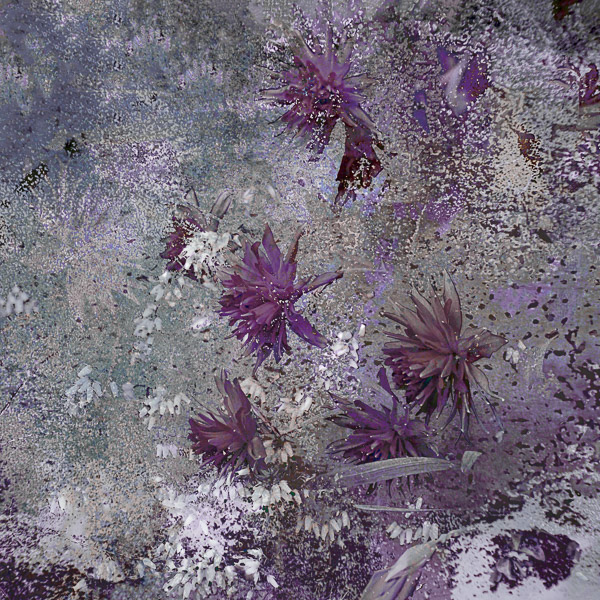 Splashing Purple