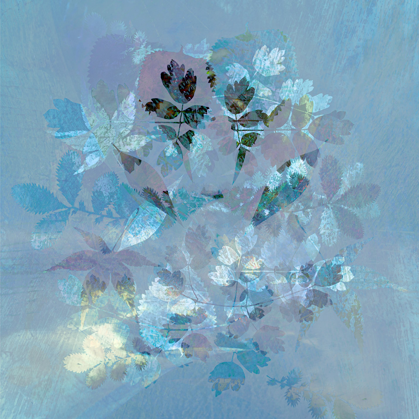 Fading Glory