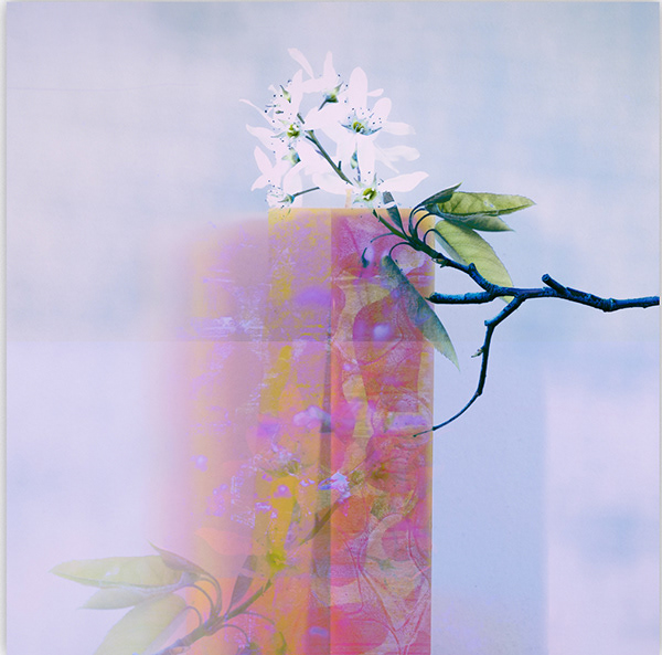 Blossom