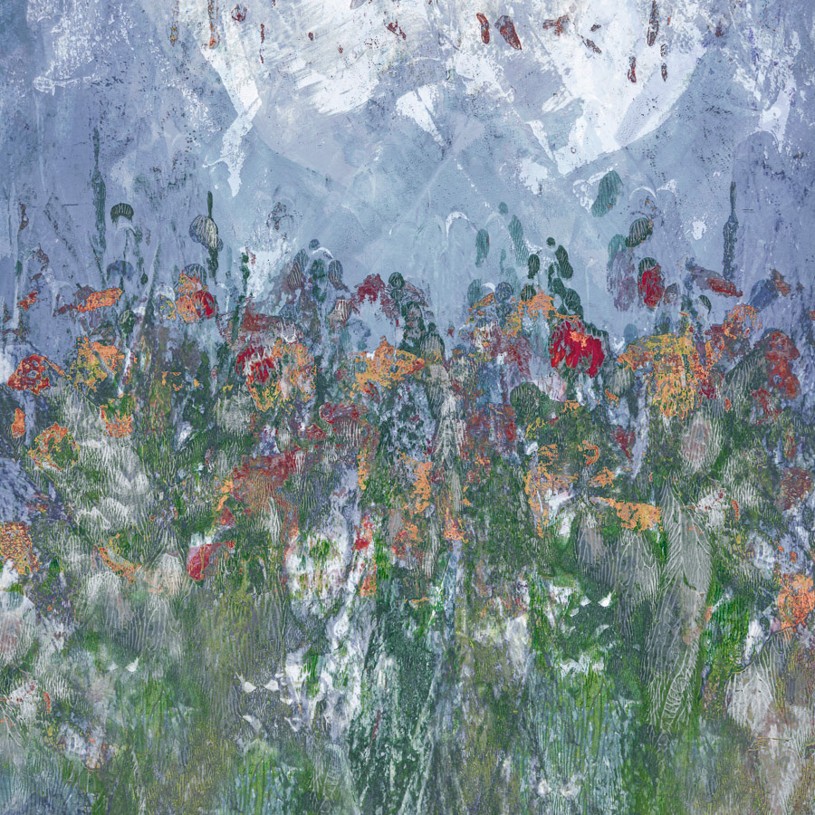 Iced Winds