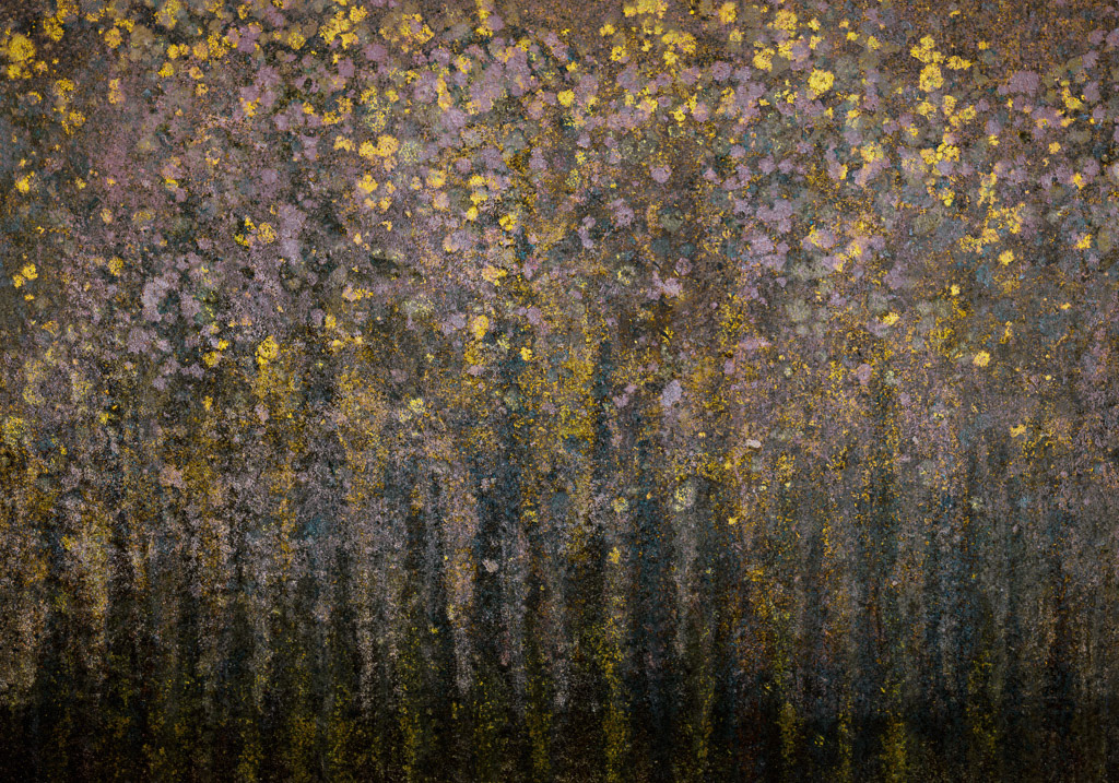 Coloured Woodland