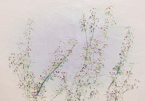 Delicate