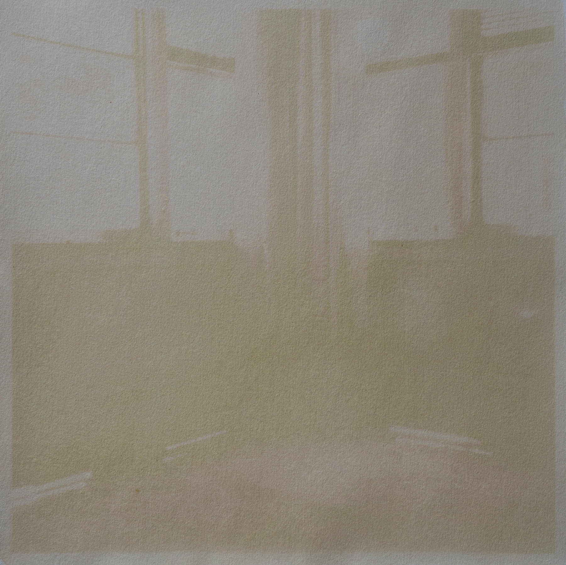 On Larch, In the Sun, anthotype (faded spinach), 2021