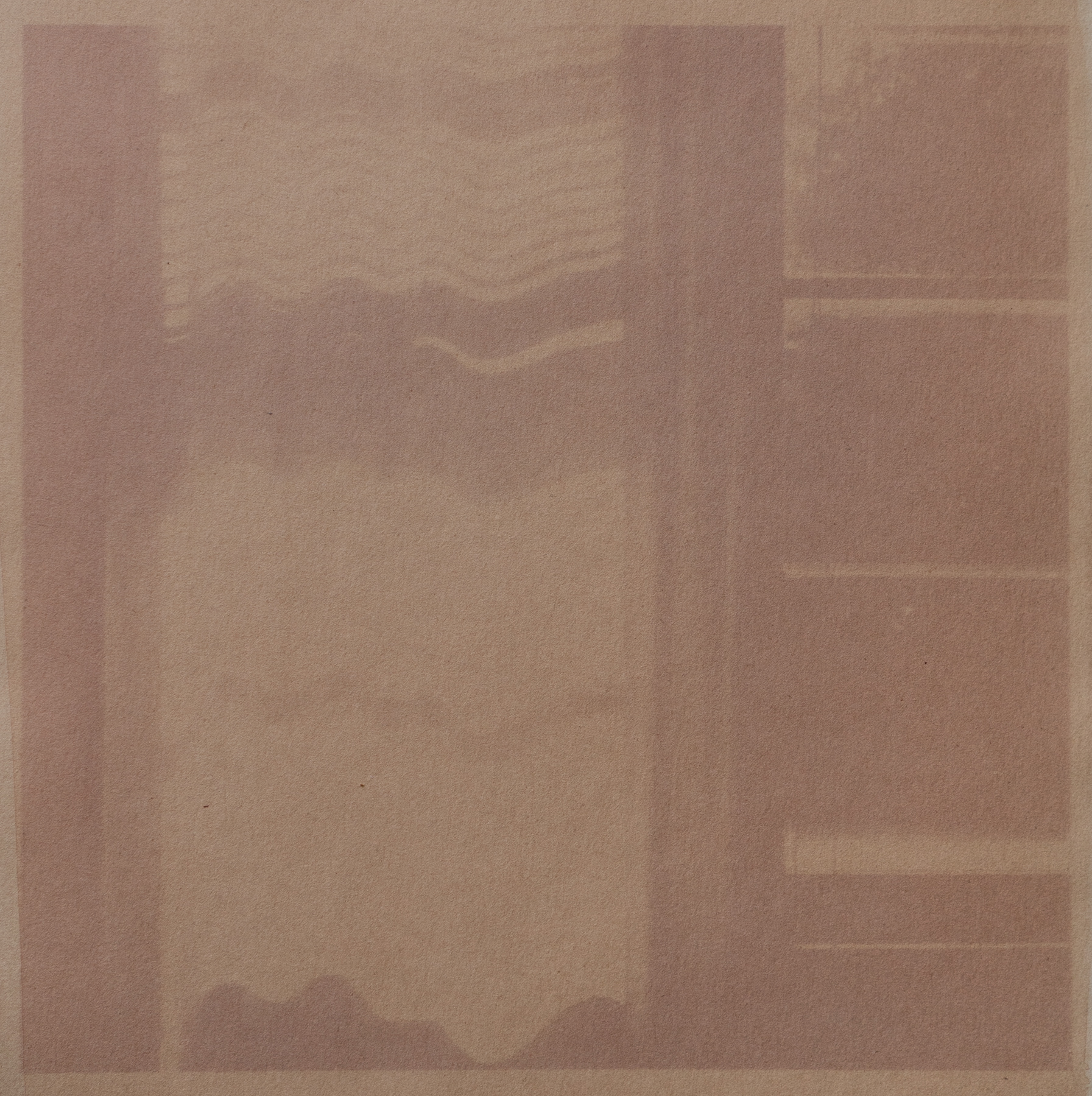 On Larch, In the Sun, anthotype (faded yellow onion skins), 2021