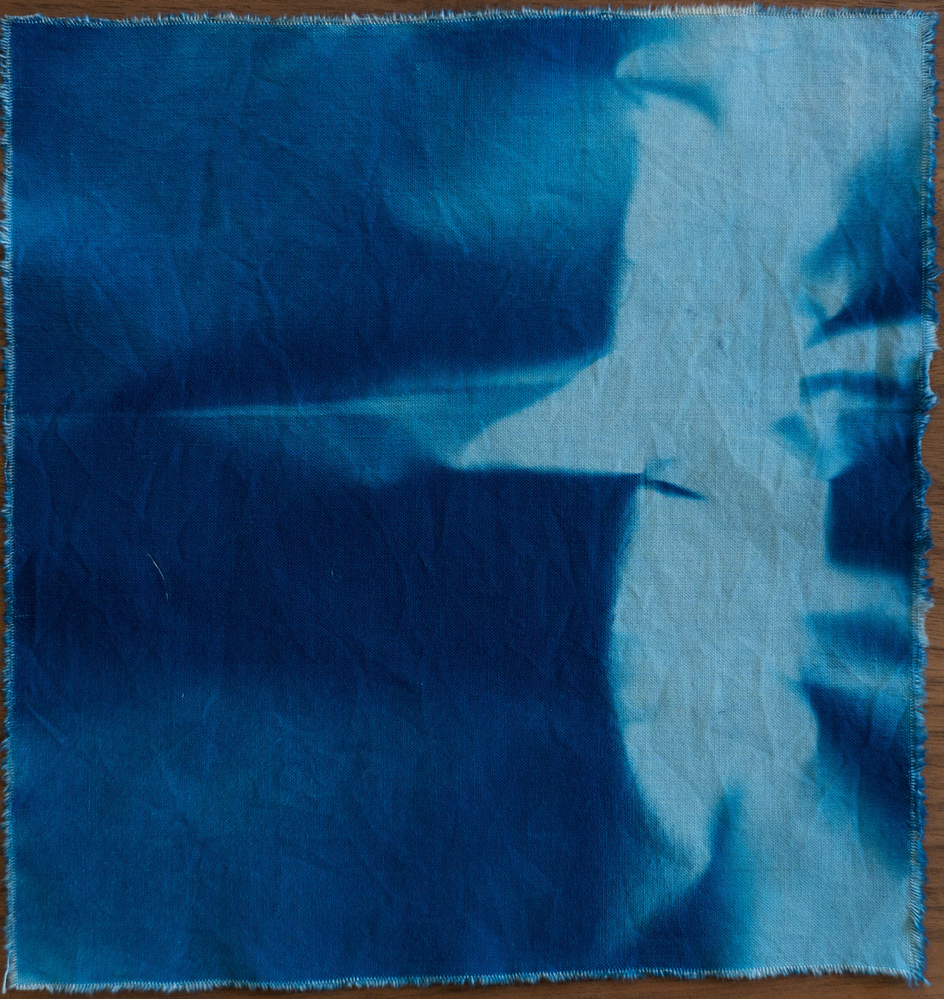 Shelter Record #36