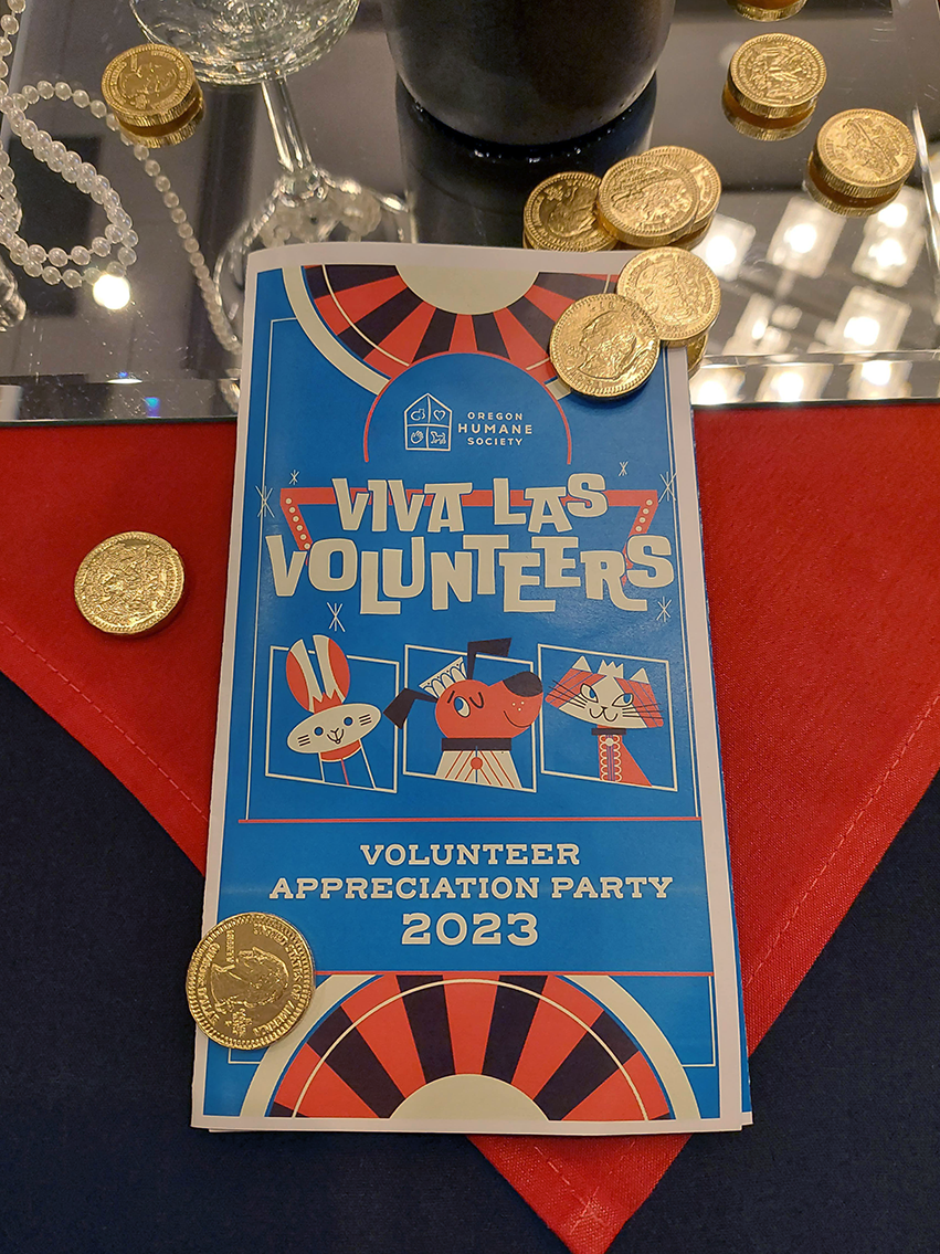 Volunteer Party Program!
