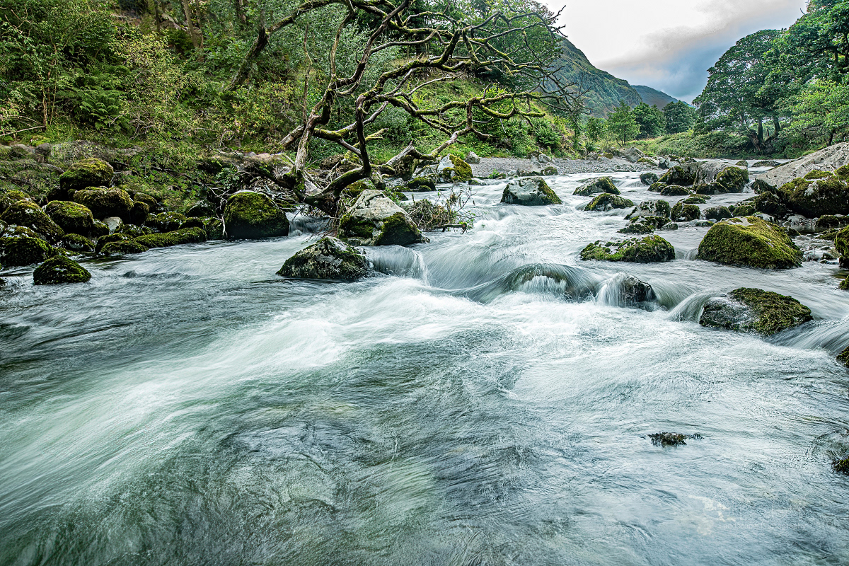 River Derwent near Peat Howe