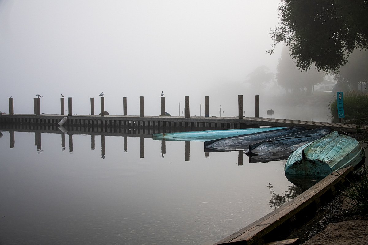 Row Boats in the MIst