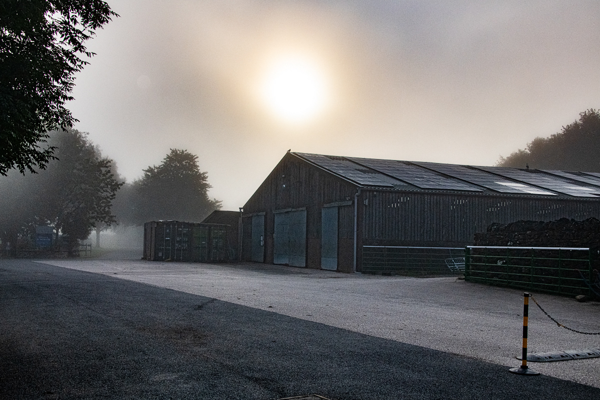 Misty morning on the farm
