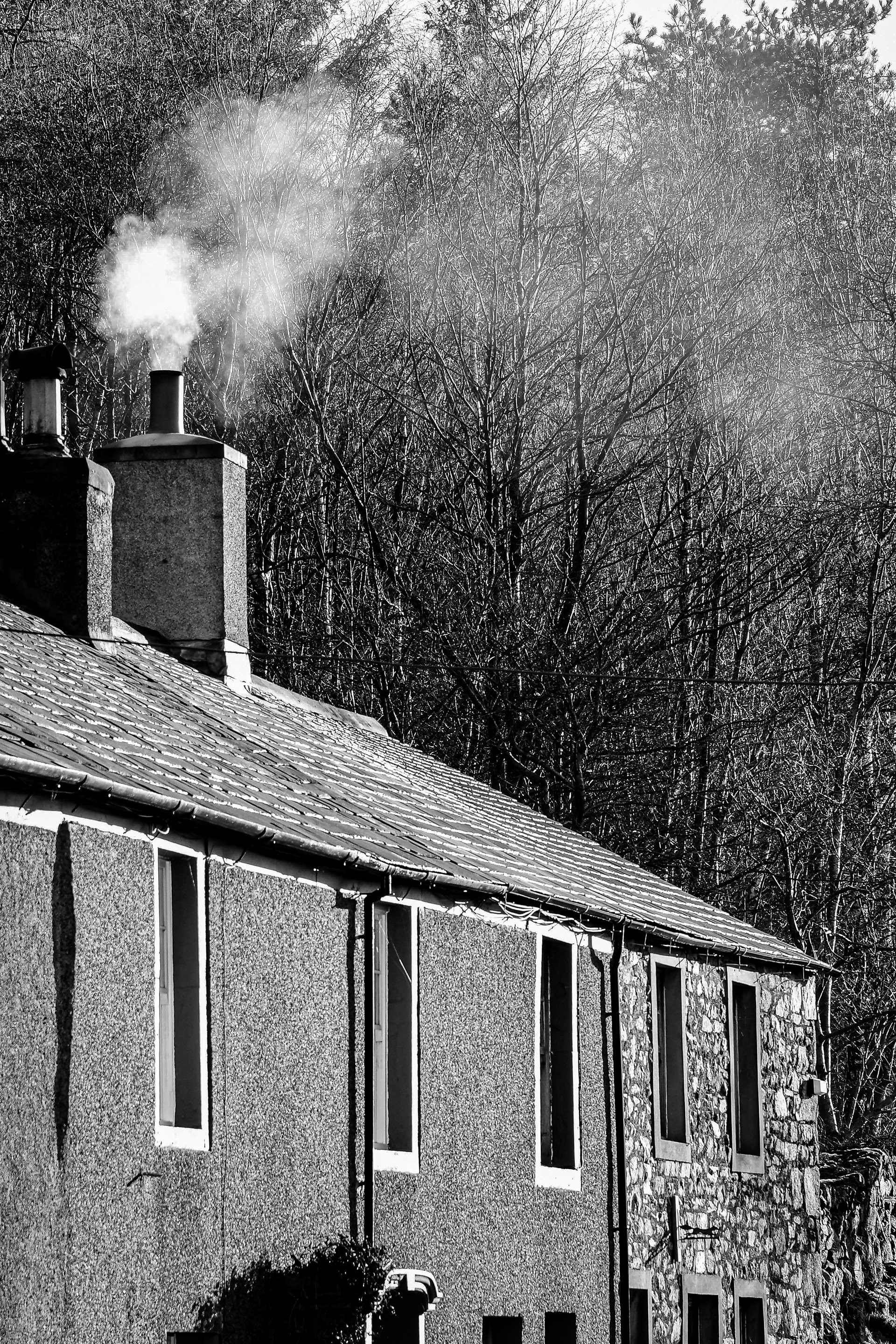 Eskdale Cottages
