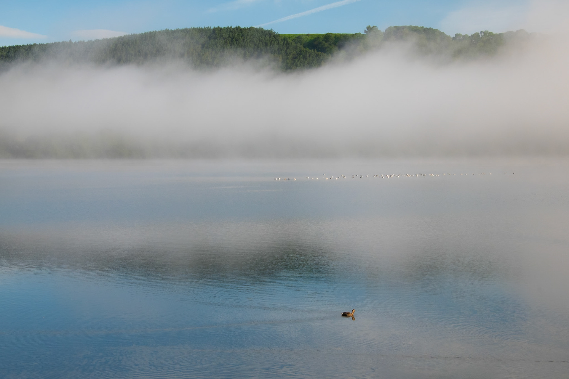 Misty Ullswater