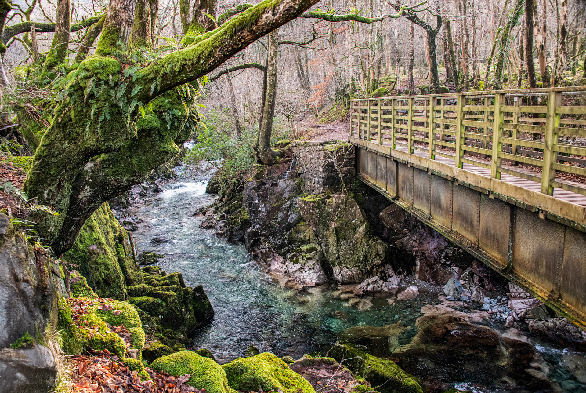 Girder Bridge, River Esk
