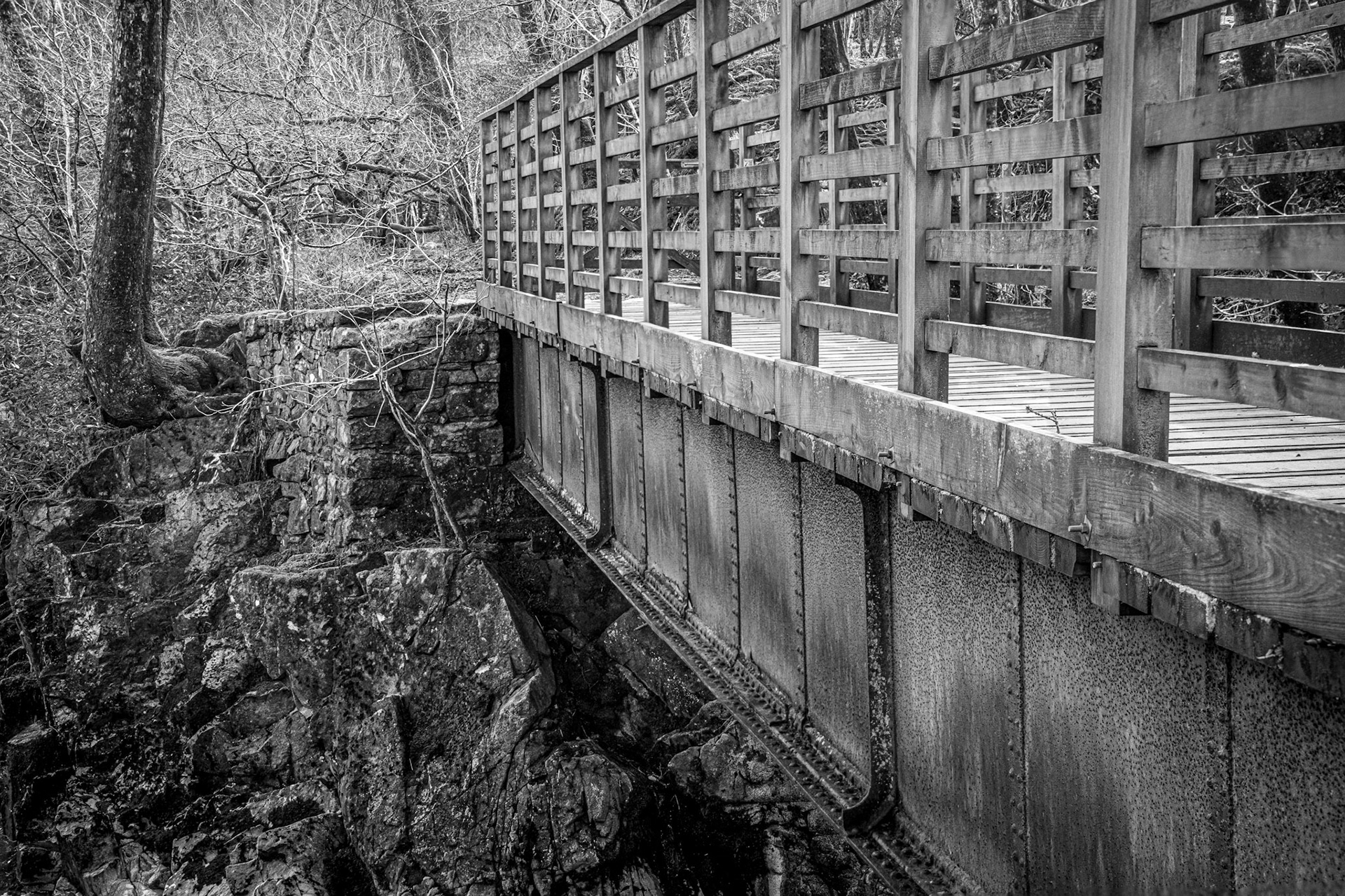 Girder Bridge, River Esk