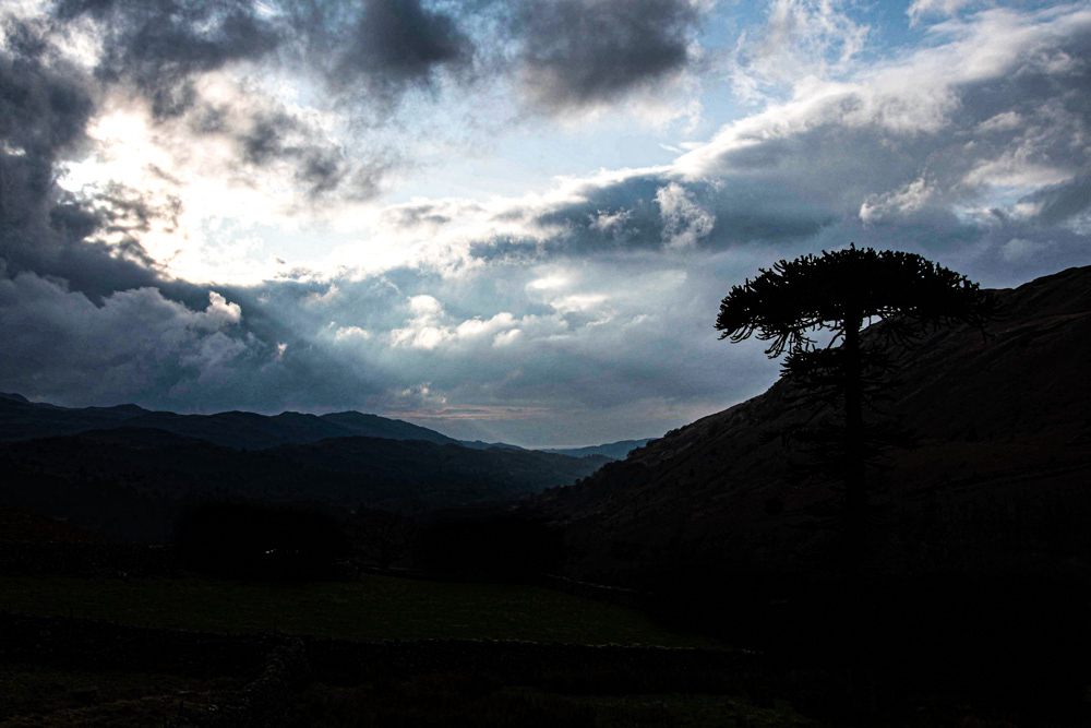 Colour photo with a dramatic silhouette