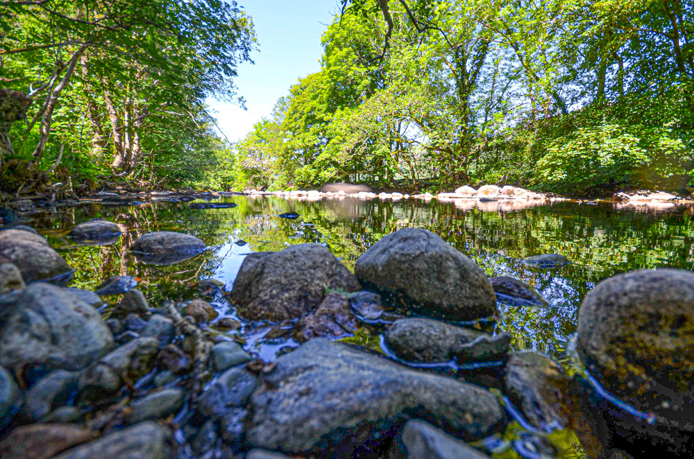 River Esk