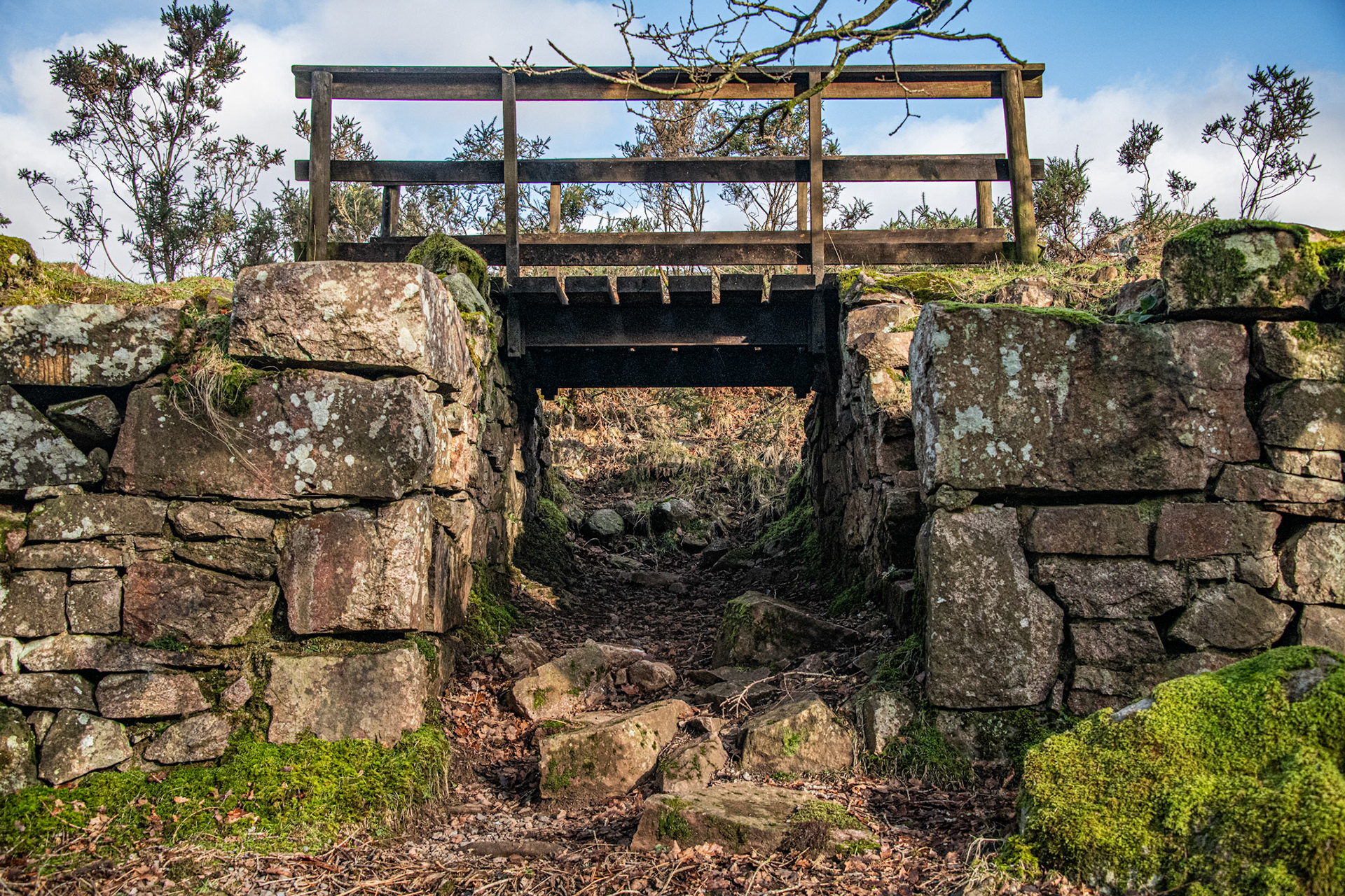 Old Railway Bridge, Eskdale