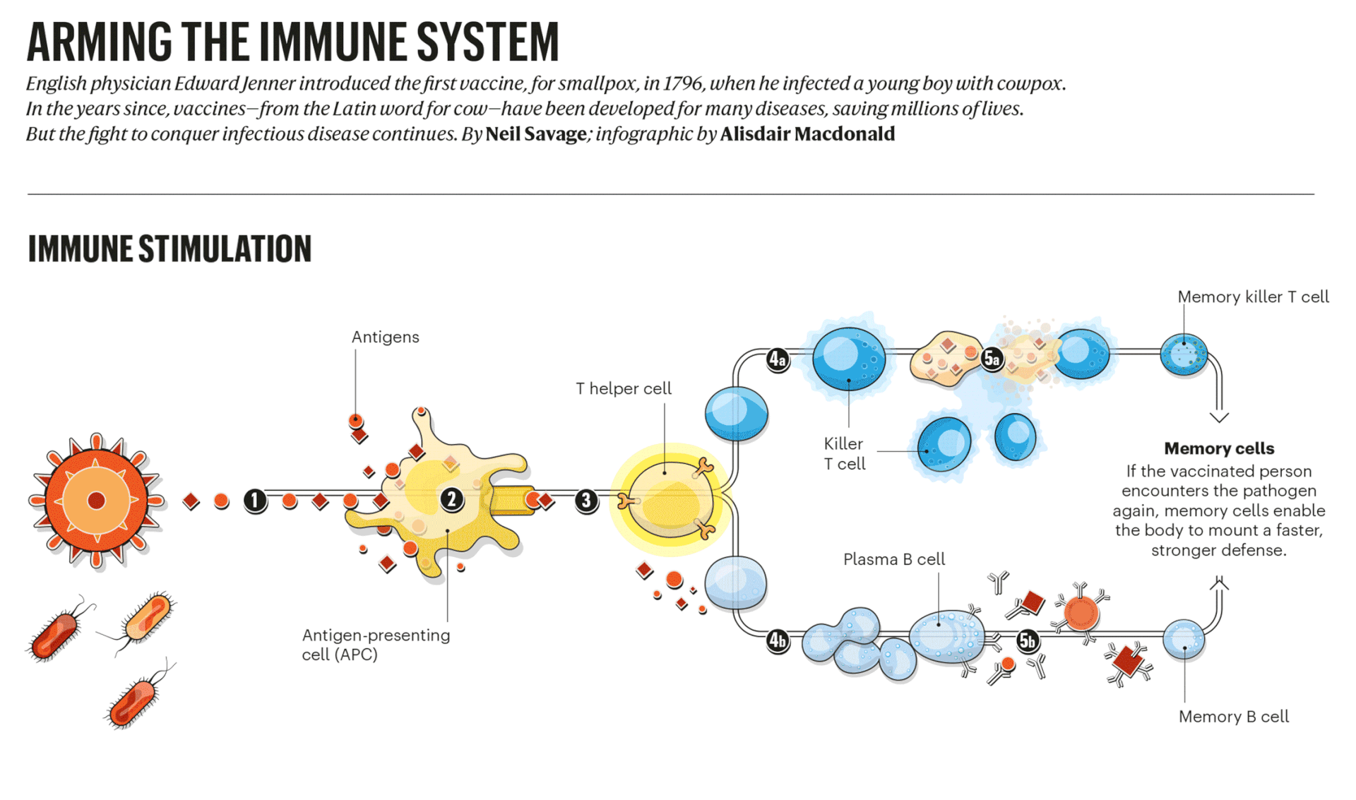 Graphic article on vaccines for Nature Magazine and Scientific American