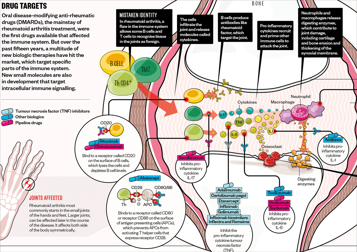 Graphic feature for RPS on mechanisms and treatment of RA.