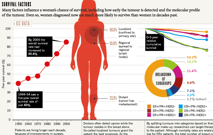 Infographic feature for Nature Outlooks on breast cancer research.